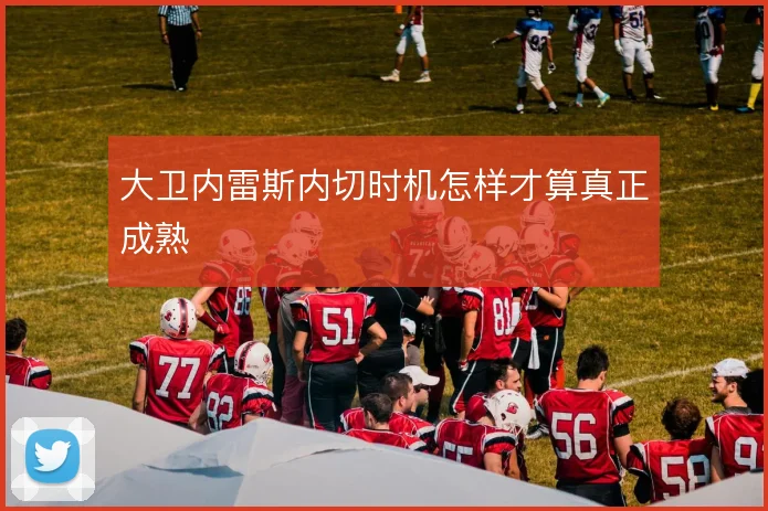 大卫内雷斯内切时机怎样才算真正成熟