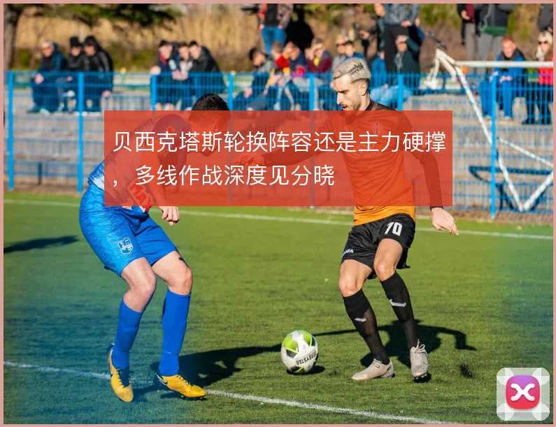 贝西克塔斯轮换阵容还是主力硬撑，多线作战深度见分晓